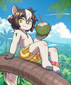 4746156_LPawz_paulobeach2_1_.jpg