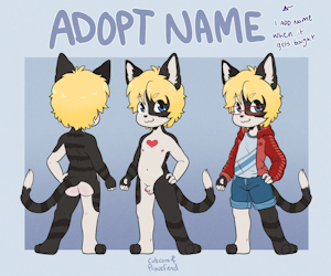 Collab Adopt