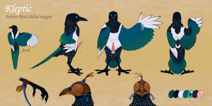 Kleptic Ref Sheet