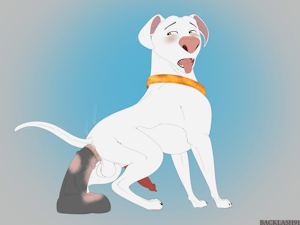 Krypto's Stallion