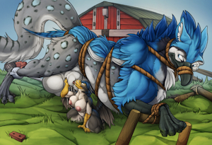 Barn Fun