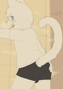 White cat wants to be licked