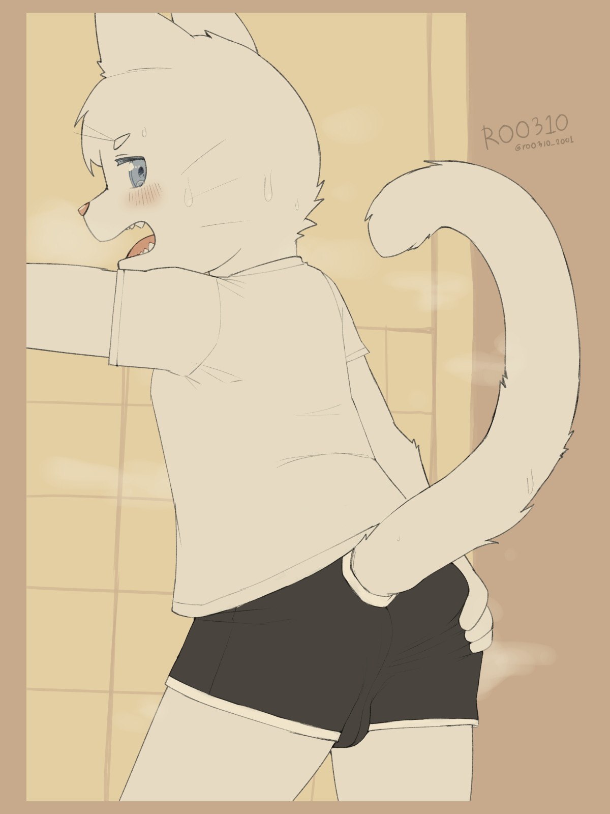 4763696_roo310_00.png