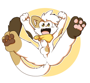 Calico Boy