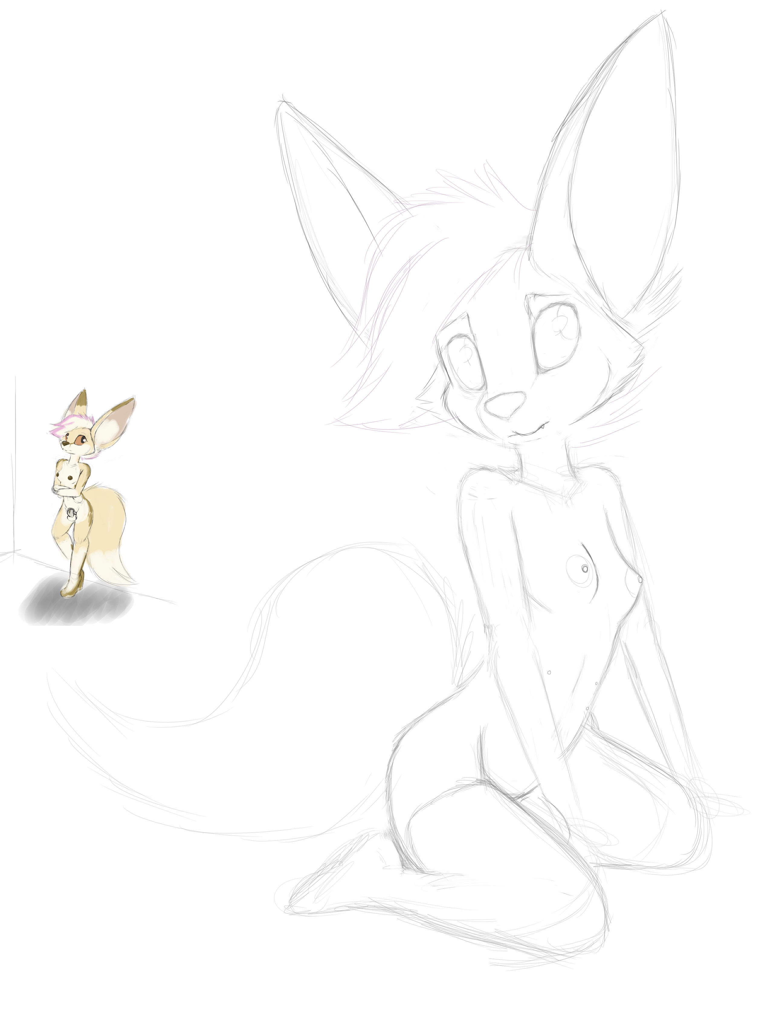 4766547_Smolfoks_avey.png