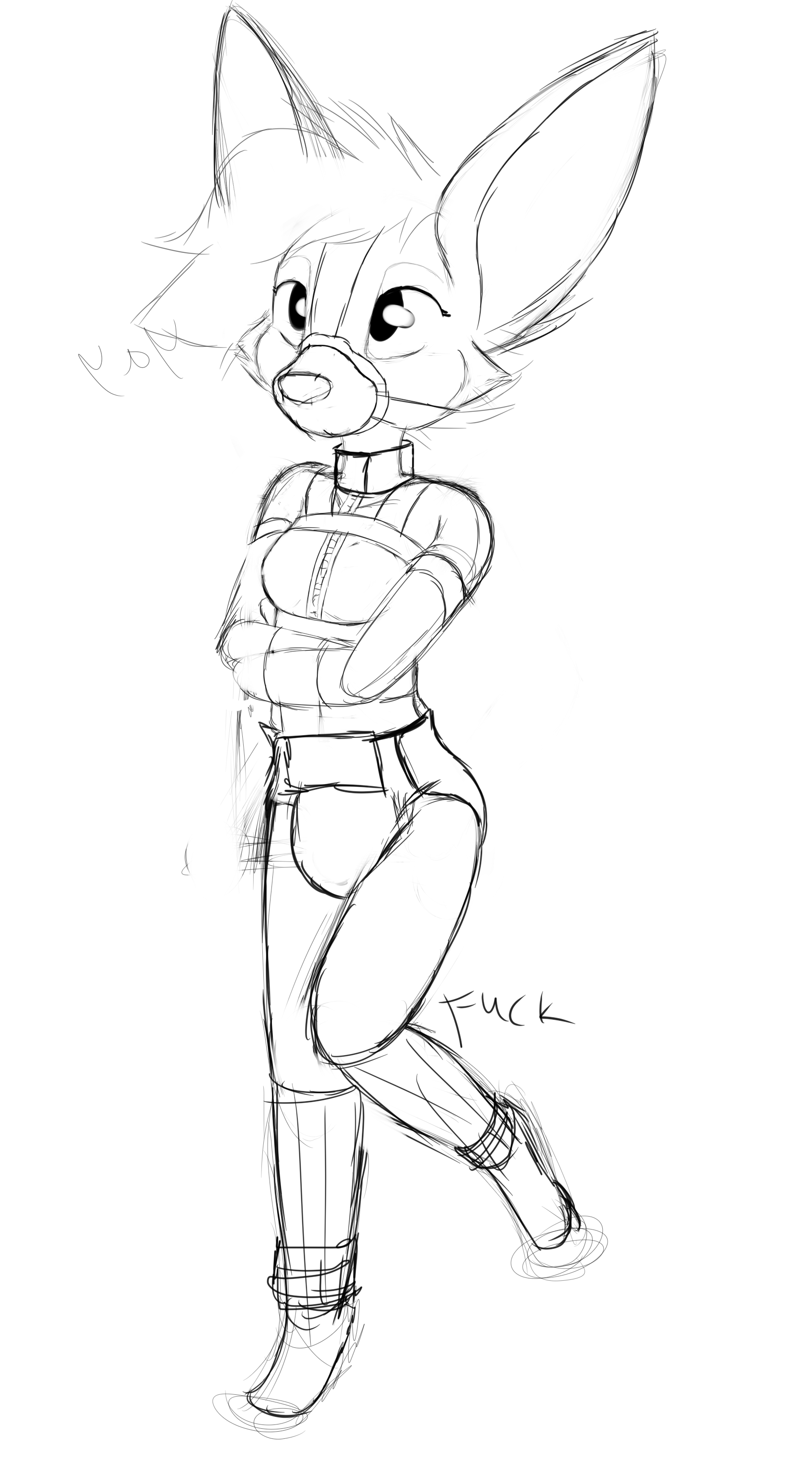 4766599_Smolfoks_avexamplejacket.png