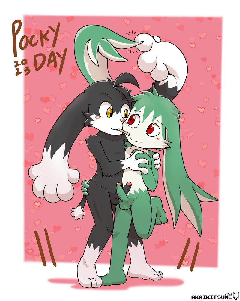 4769651_AkaiKitsune_pockey.png