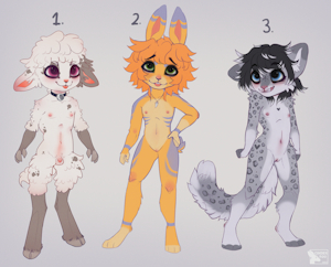 $35 Adopts