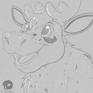 Velmutt Sketch