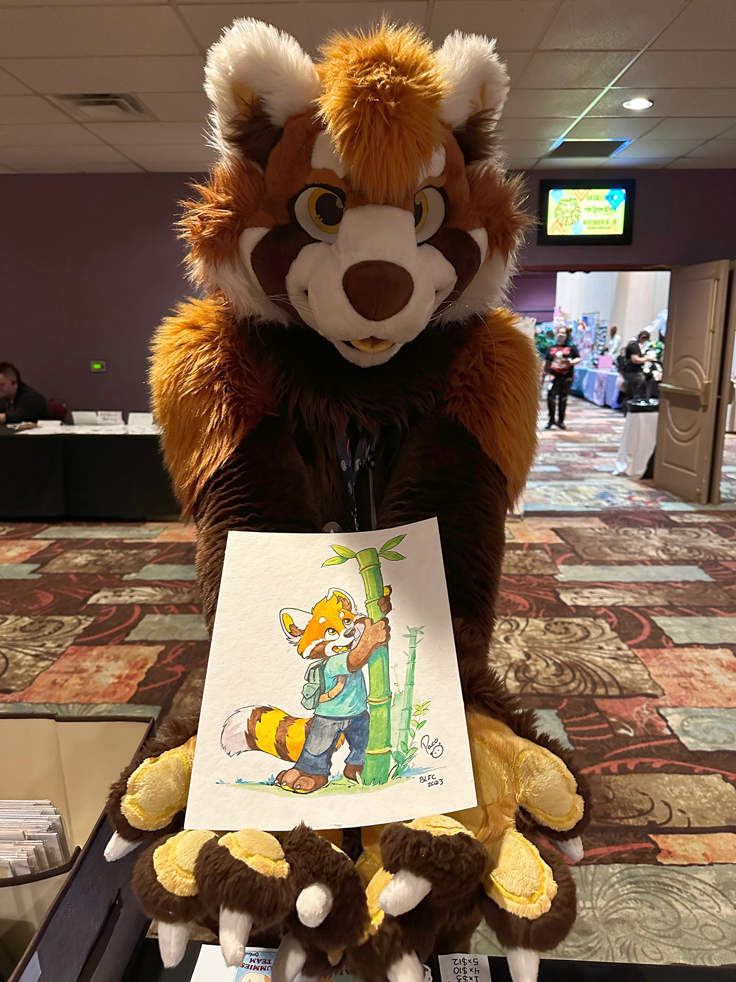 4775615_pandapaco_17koda4.jpg