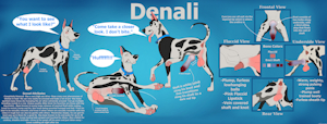 Denali NSFW Ref Sheet
