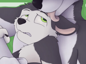 QSC-YCH-G-2-011