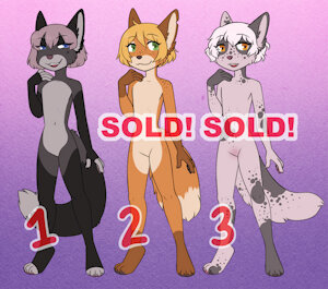 4784048_Peony_adopts_nov_21_2023_2_and_3_sold.jpg