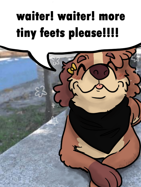 4788955_mimisrol_liddolfeet.png