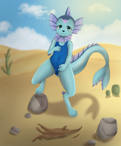 (c) vap in desert