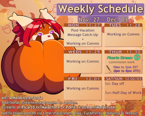 Weekly Schedule [11.27 ~ 12.03]