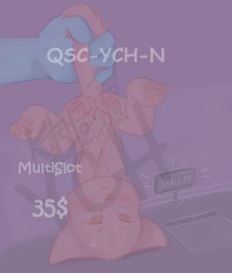 qsc-YCH-N