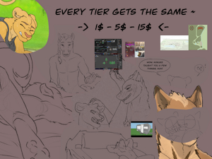 All Tiers get the same benefits! Starting at just 1$ ~