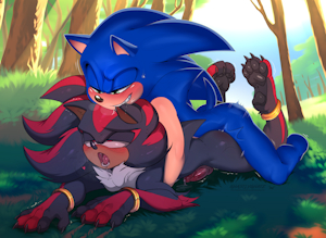 Hedgehogs in the forest!