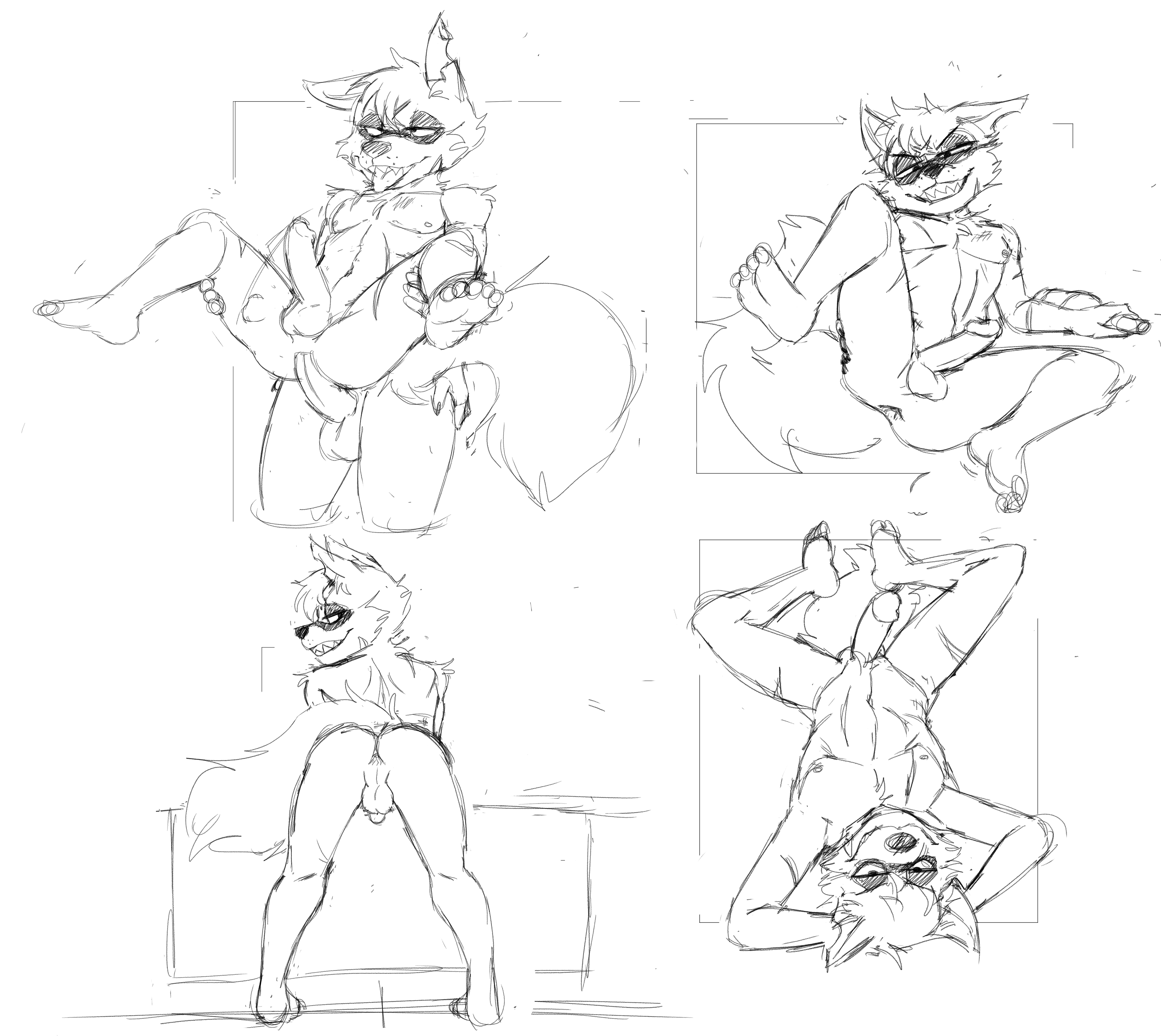4800028_Ringpaw_illustration236.png
