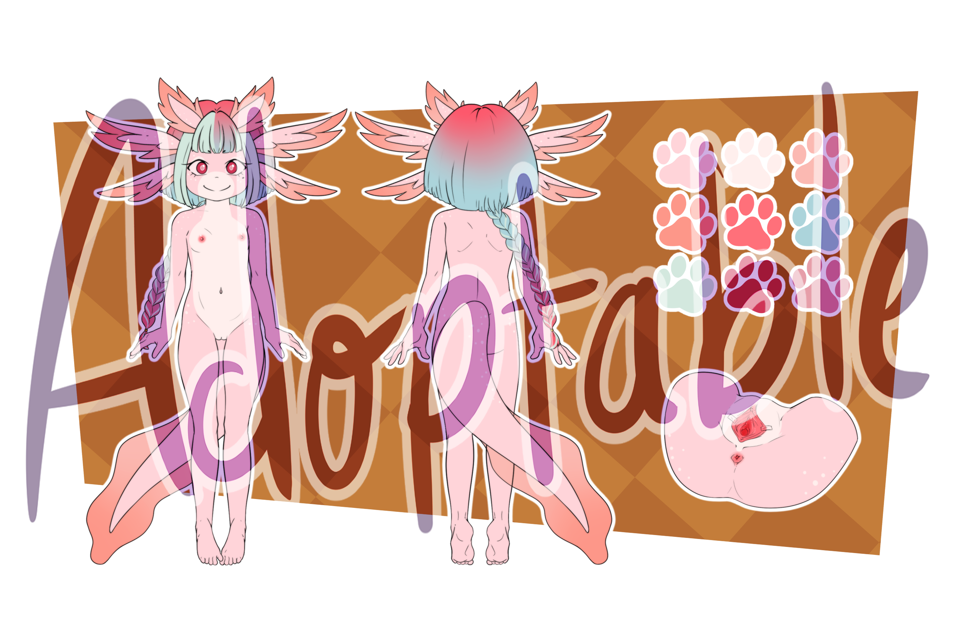 4800086_pucco_sample.png