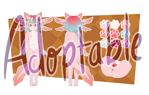 4800086_pucco_sample.png
