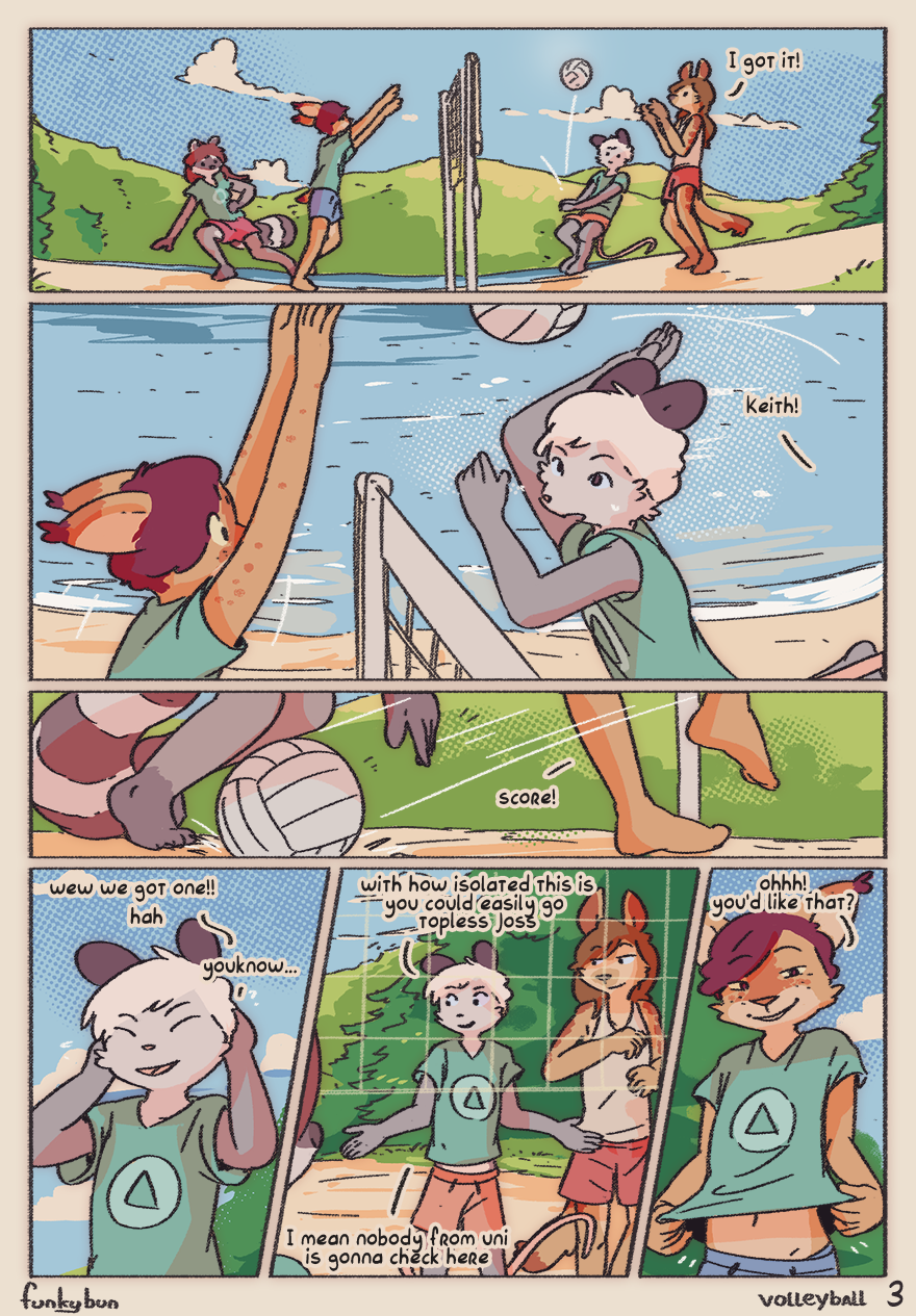 4800459_funkybun_volleyball_small3_21_04_2023.png