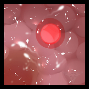 4804324_cesar23_imp_1.png