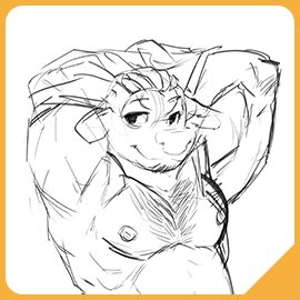 Warmup - Bull