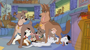 Doggy Orgy