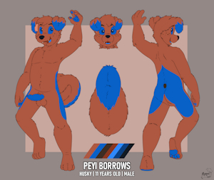 Peyi Borrows