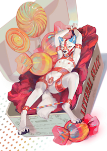 “Candybox” Bassenji