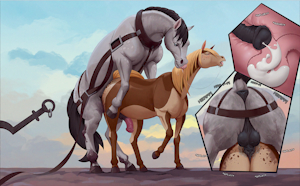 4811188_McFan_uppmap123_heiken_after_field_day_part_1_messy.png