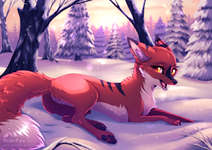 Winter Heat
