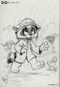 4814492_pandapaco_1095raccoon_rain.jpg