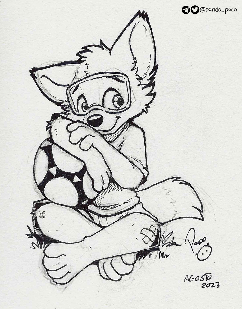 4814497_pandapaco_1100zabivaka_ink.jpg