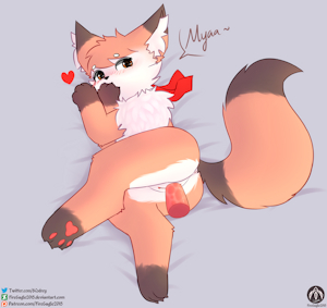 4822665_FireEagle2015_nia_bed2.png