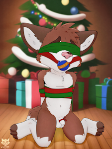 Christmas Cub Present 🎁