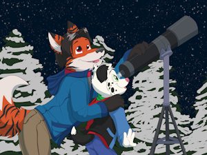 Seeing Stars