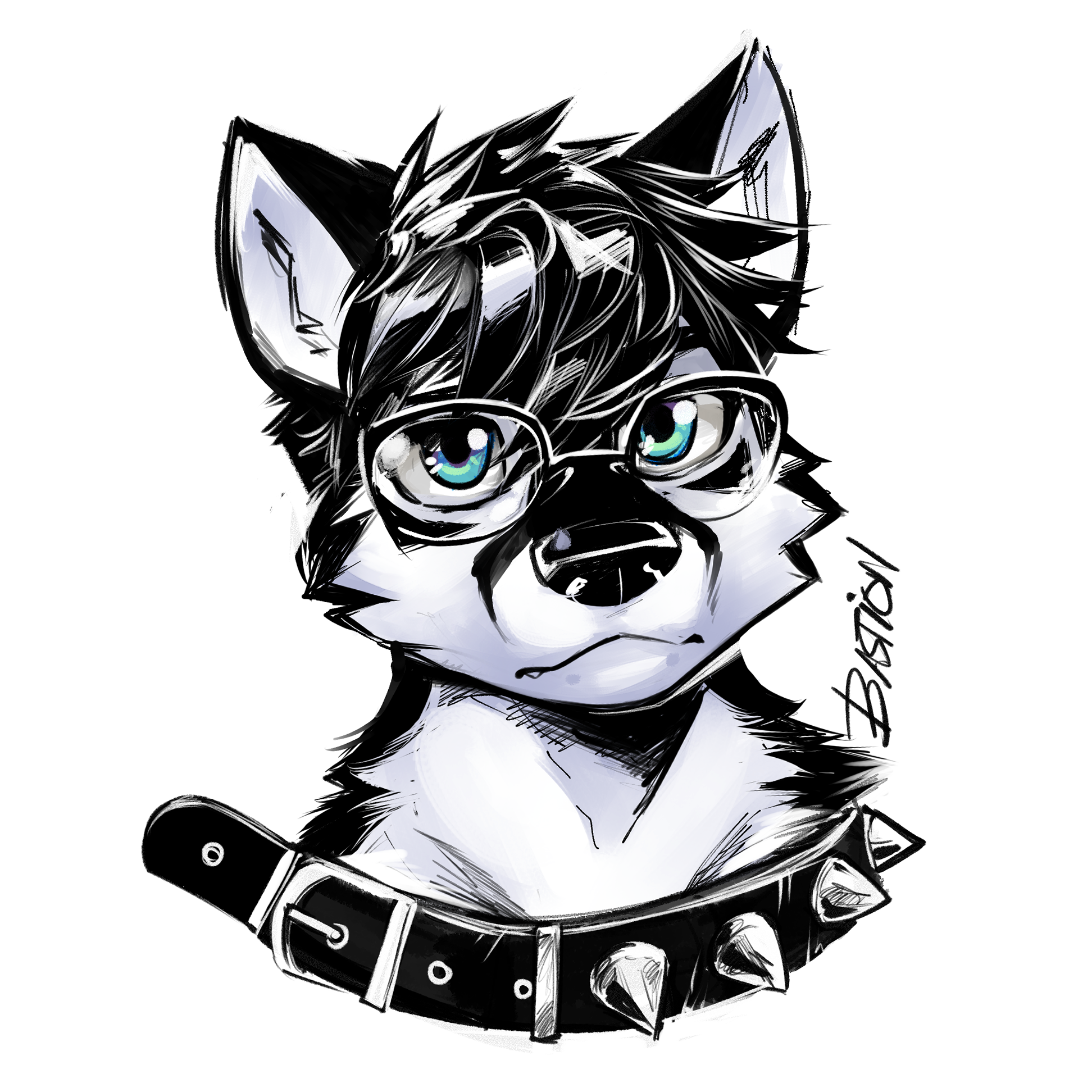 4828841_BastionShadowpaw_toshi_-_collared.png