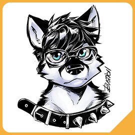 Toshi - Collared