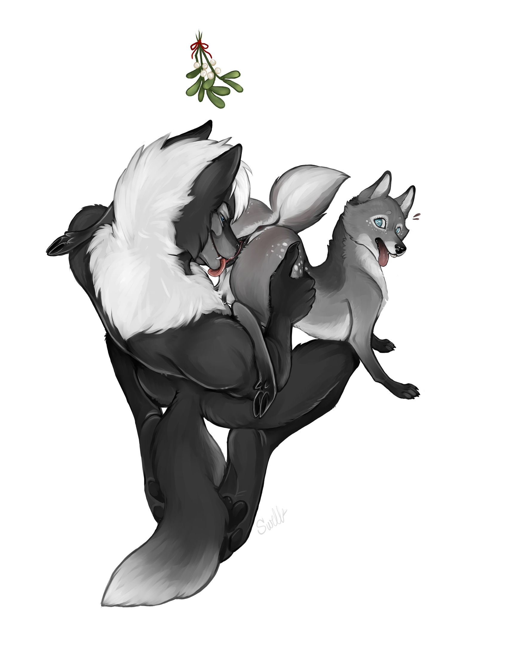4830146_Nightdancer_under_the_mistletoe_2160p.jpg