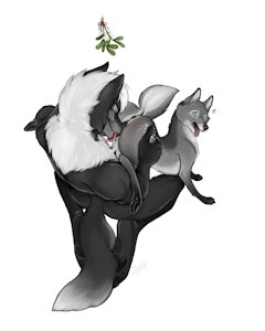 4830146_Nightdancer_under_the_mistletoe_2160p.jpg