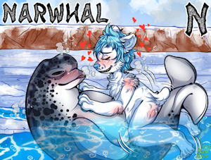 N is for Narwhal