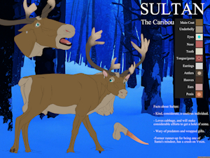 4832172_Backlash91_oc_raffle_characters_sultan.png