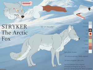 4832174_Backlash91_stryker_the_fox.png