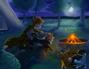Boinking by the bonfire