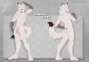 Finn Character Sheet