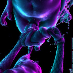 4836881_tchaikovsky2_boneless_01_full_painted_light_.png