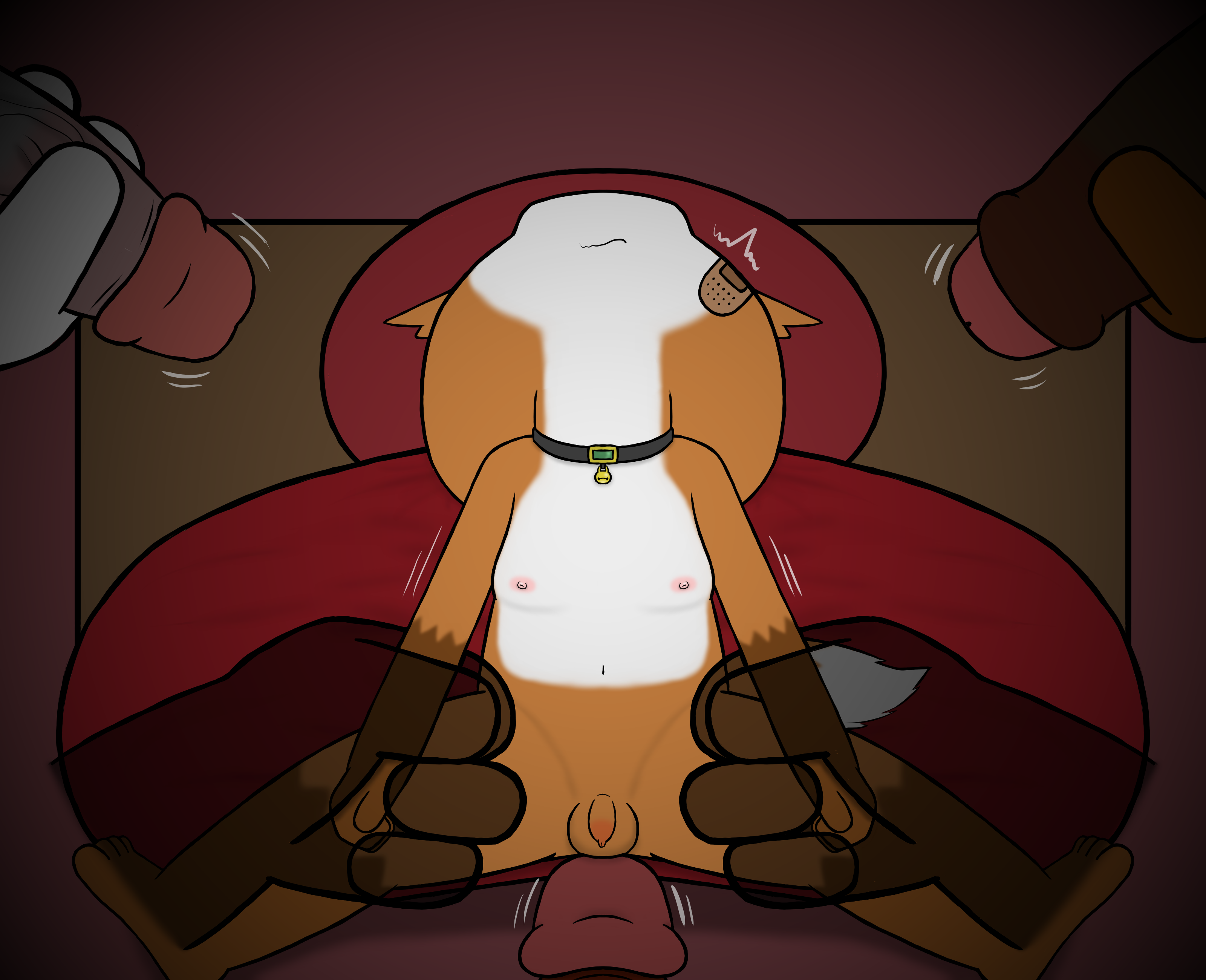 4844962_HanShiroinu_a8.png